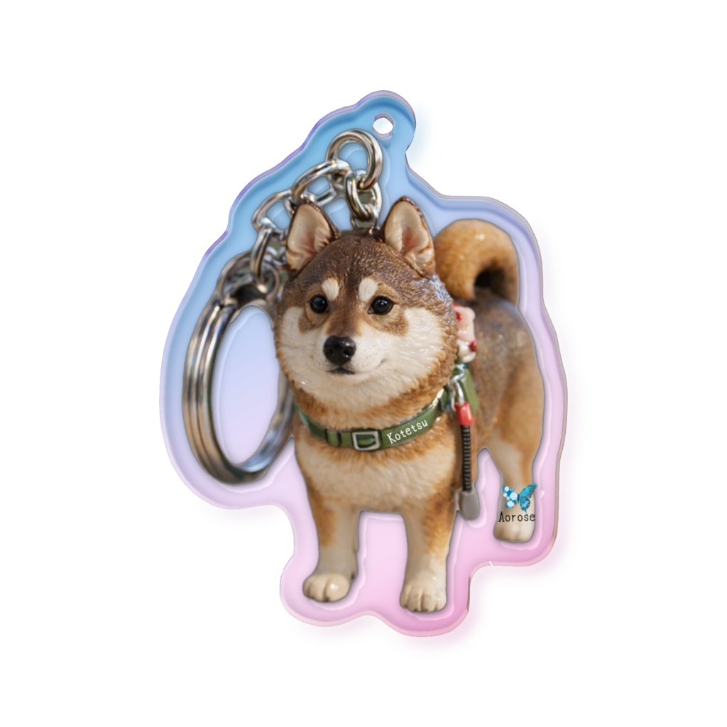 オ-ロラこてつちゃん🦋