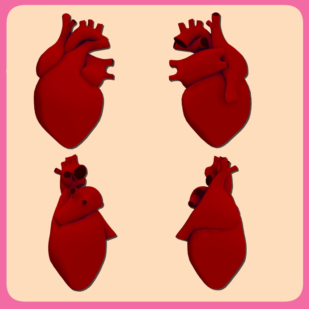 リアルなハート