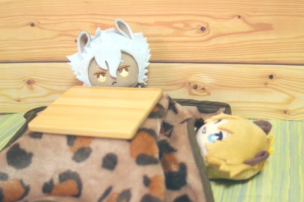 ぬくぬく炬燵(こたつ)