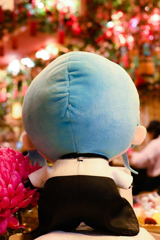 星街すいせい friends with u ぬい服 (2024 LIVE.ver)