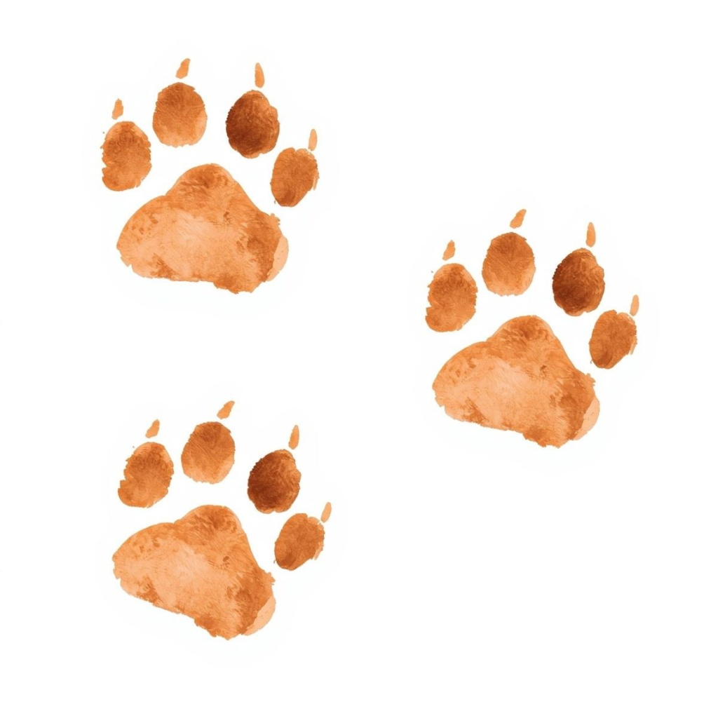 「キジトラ猫のあたたかい日々」 – 焦茶色の水彩スケッチクリップアート –