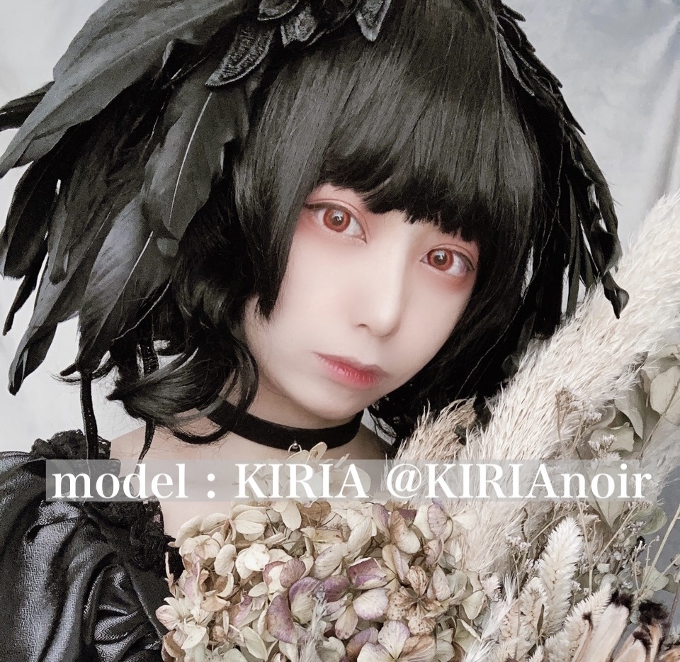 羽根 鳥 獣イメージ ヘアアクセサリー🎀カチューシャ