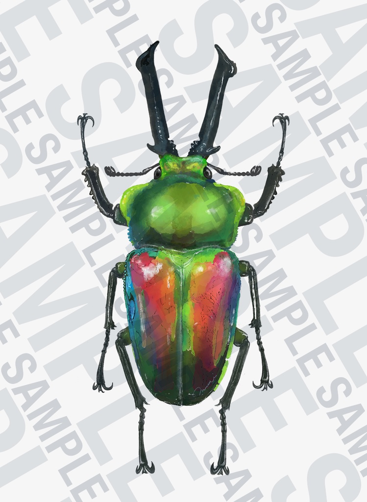 ニジイロクワガタ Tシャツ【キッズ】