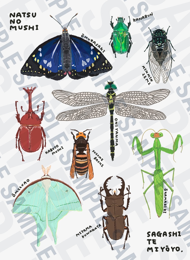 夏の虫 Tシャツ【キッズ】