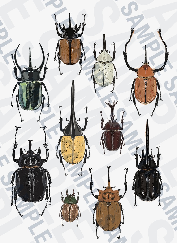 カブトムシ博士Tシャツ【大人・カラーT】