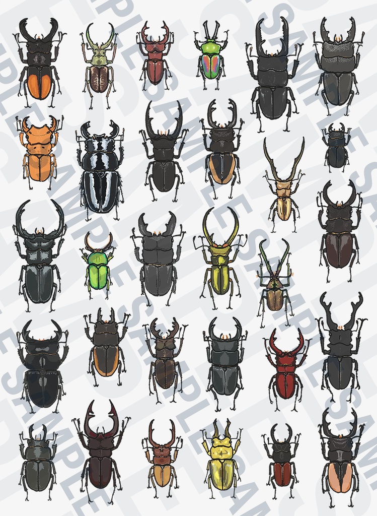 クワガタ博士Tシャツ・コレクターVer【キッズ】