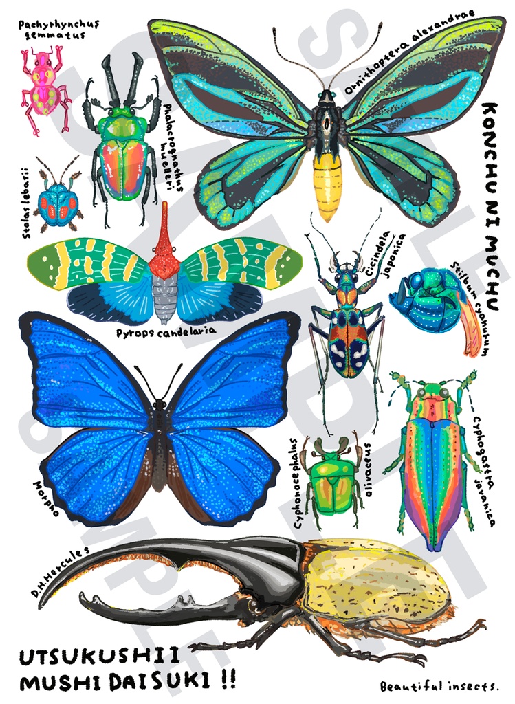 美しい昆虫Tシャツ【キッズ】