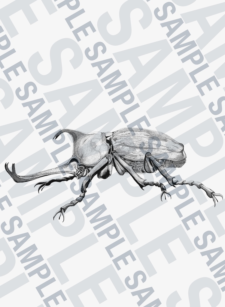 カブトムシ Tシャツ【フルグラフィック】