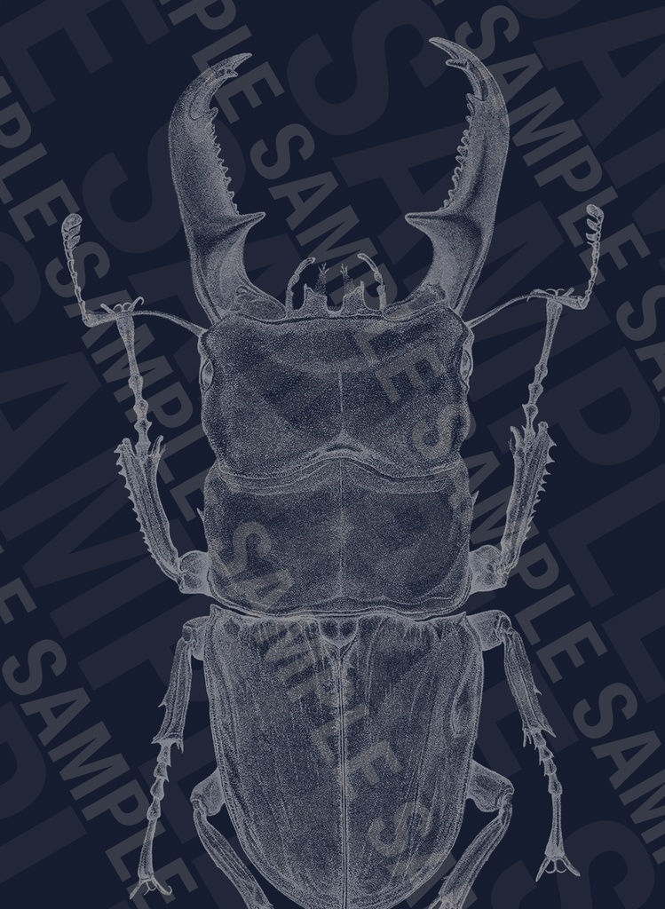 パラワンオオヒラタクワガタTシャツ【フルグラフィック】