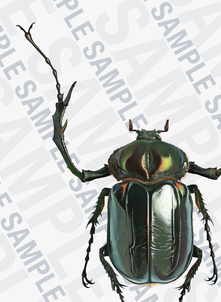 ヤンバルテナガコガネTシャツ【フルグラフィック】