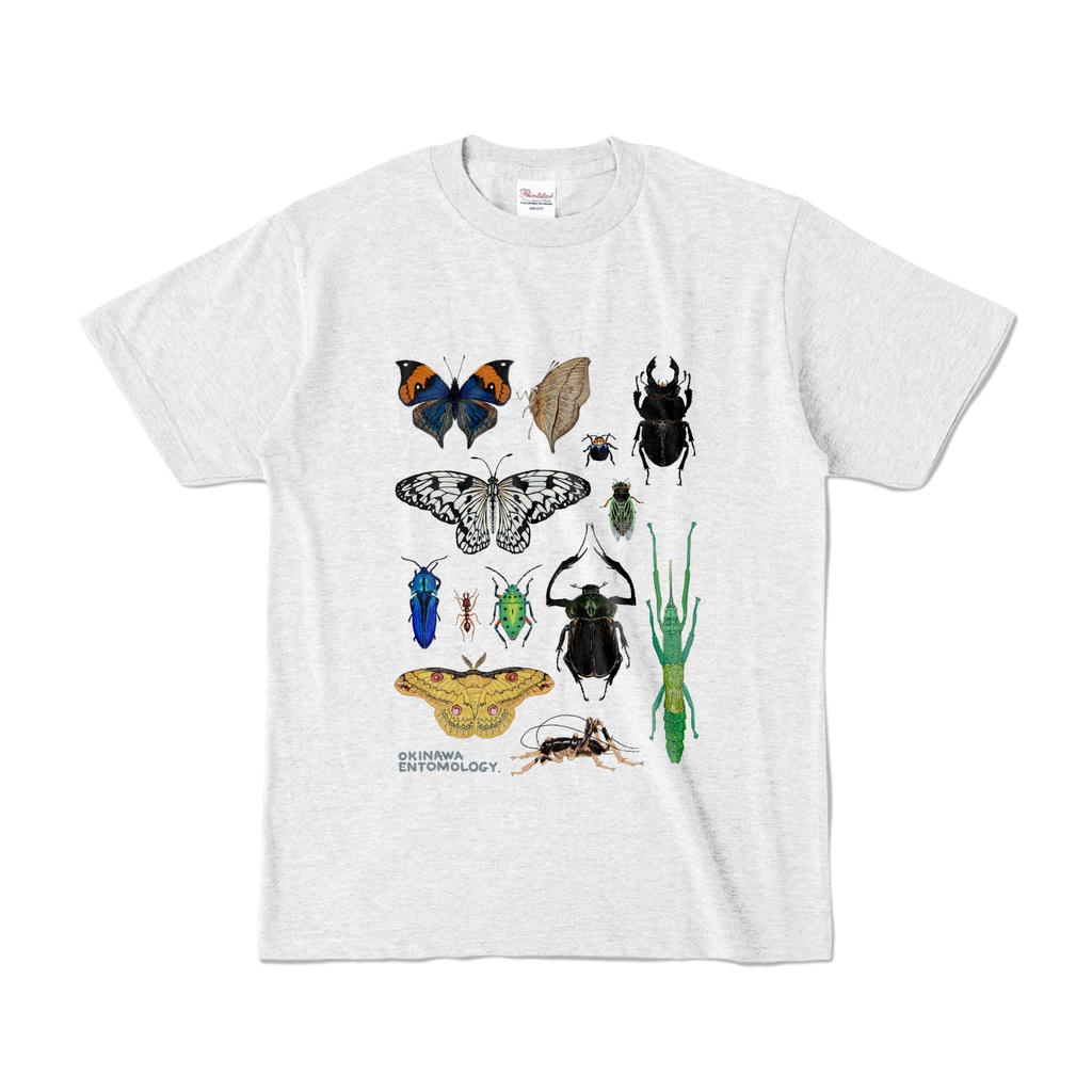 沖縄の昆虫Tシャツ【大人・カラーT】