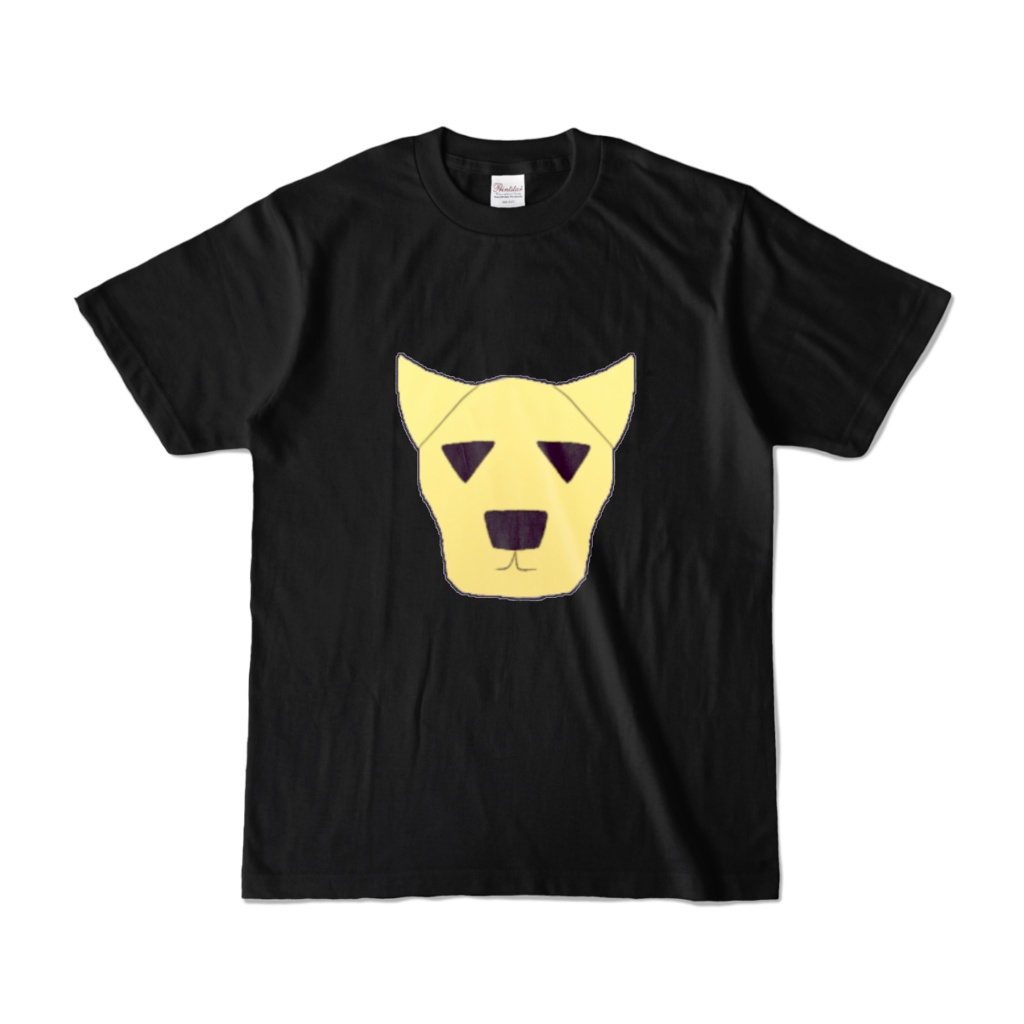 カラーTシャツA