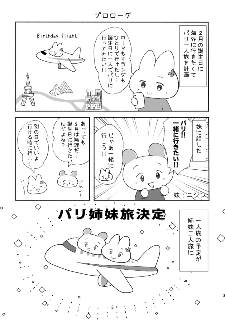 パリ姉妹旅行記vol1 旅の準備とテーマパーク編