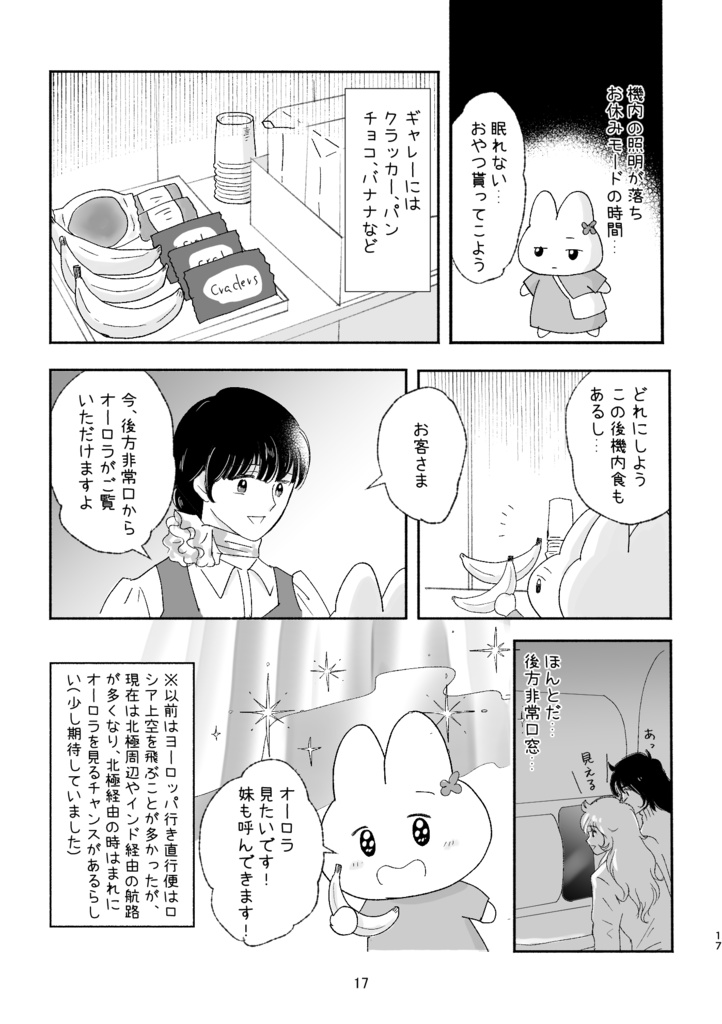 パリ姉妹旅行記vol1 旅の準備とテーマパーク編