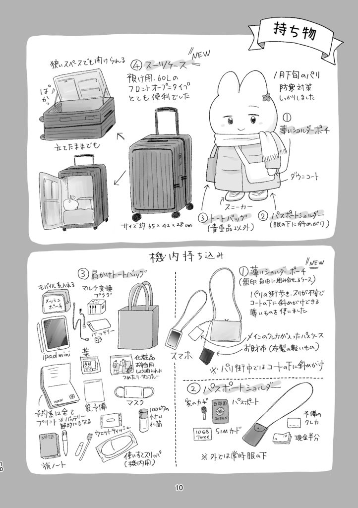 パリ姉妹旅行記vol1 旅の準備とテーマパーク編