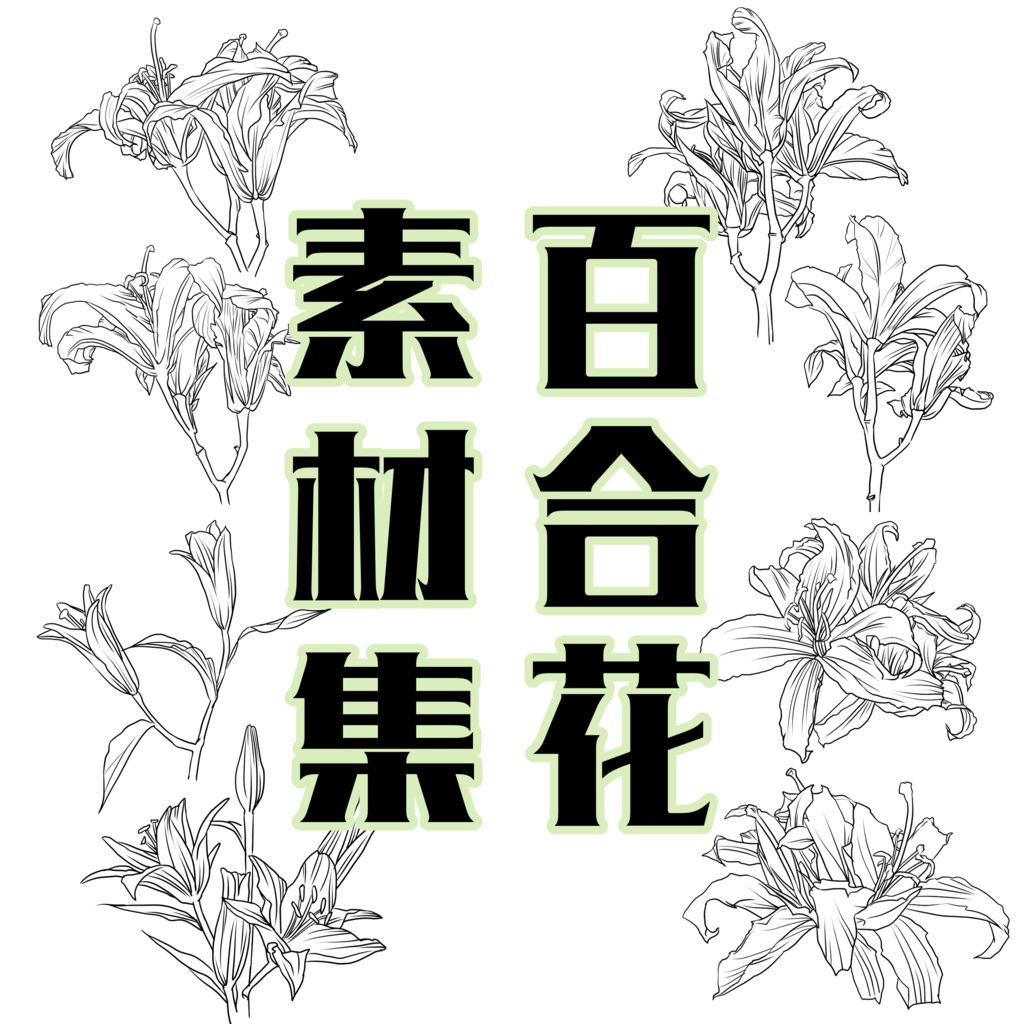 【フリー素材】百合花の線画素材