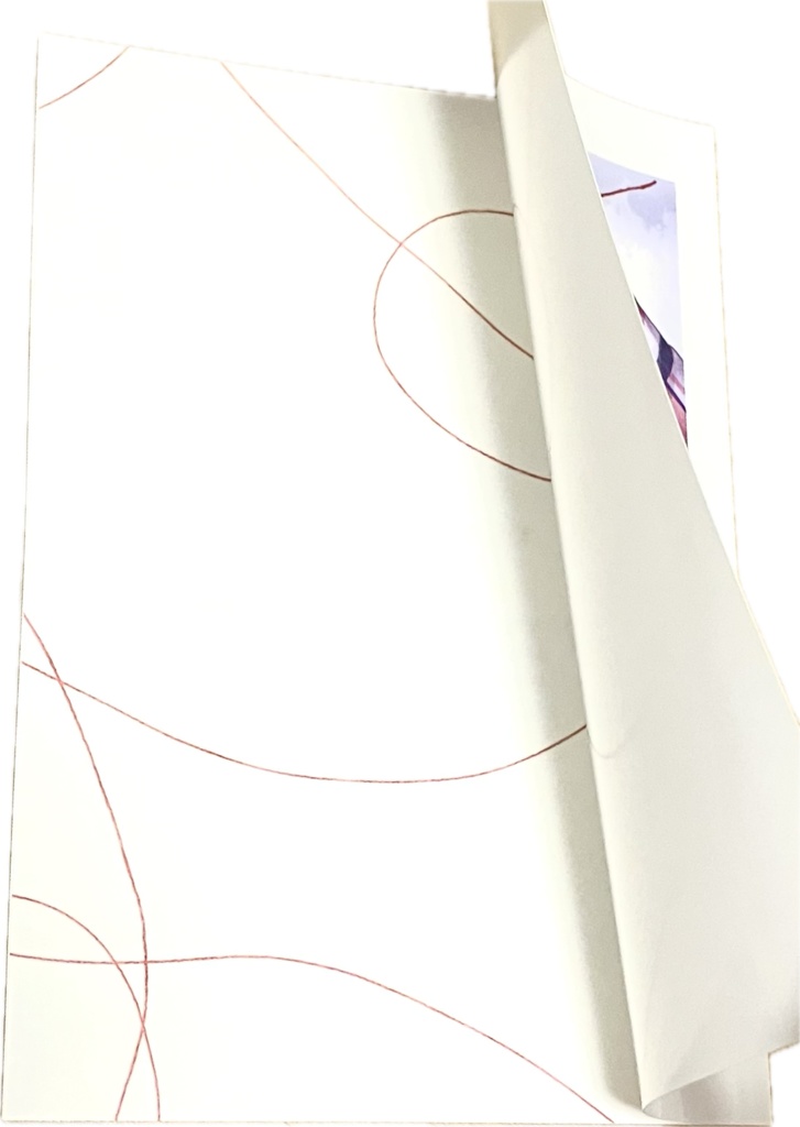 【完売】エフェメラル【不二塚】