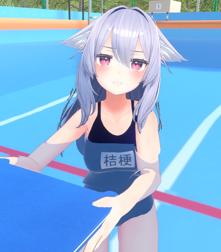 【スクール水着】-for 桔梗 kikyo-