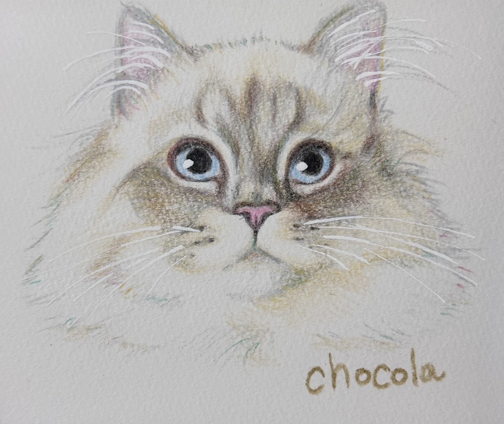 お顔クレヨン鉛筆絵画