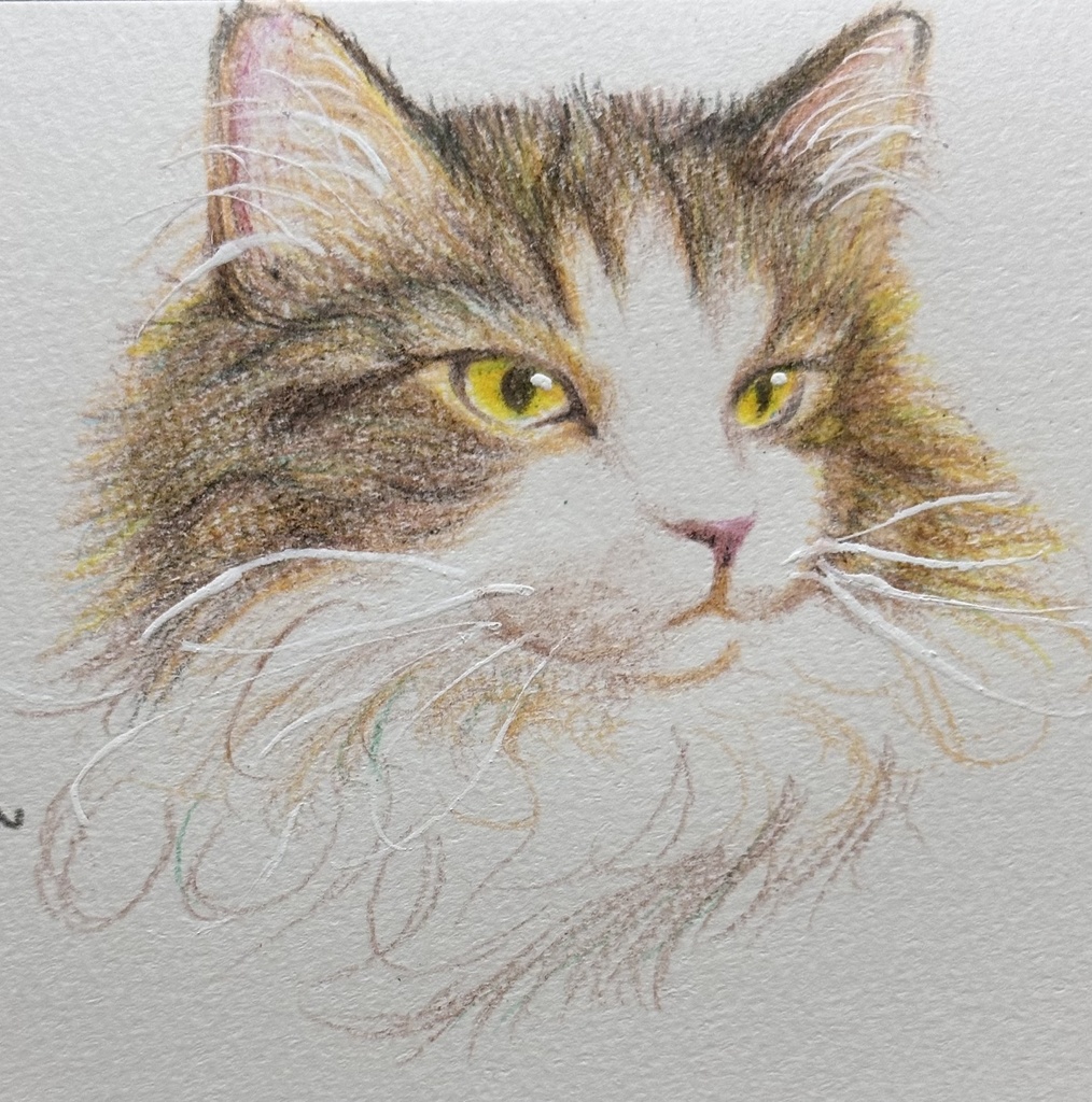 お顔クレヨン鉛筆絵画