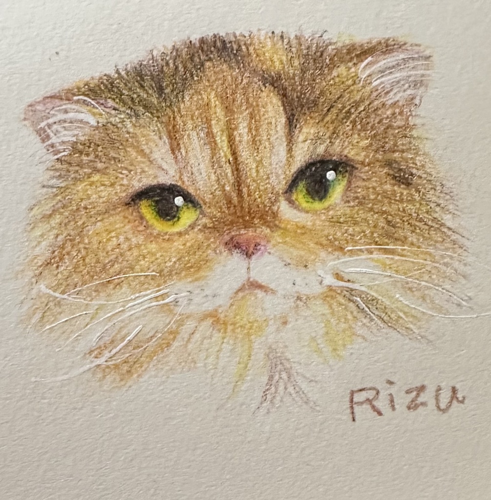 お顔クレヨン鉛筆絵画