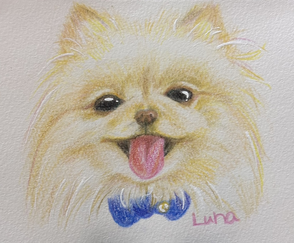 お顔クレヨン鉛筆絵画