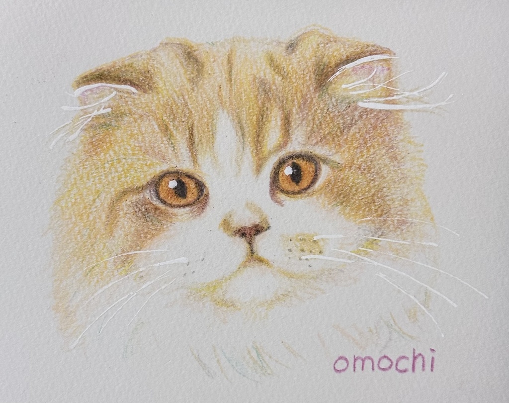 お顔クレヨン鉛筆絵画