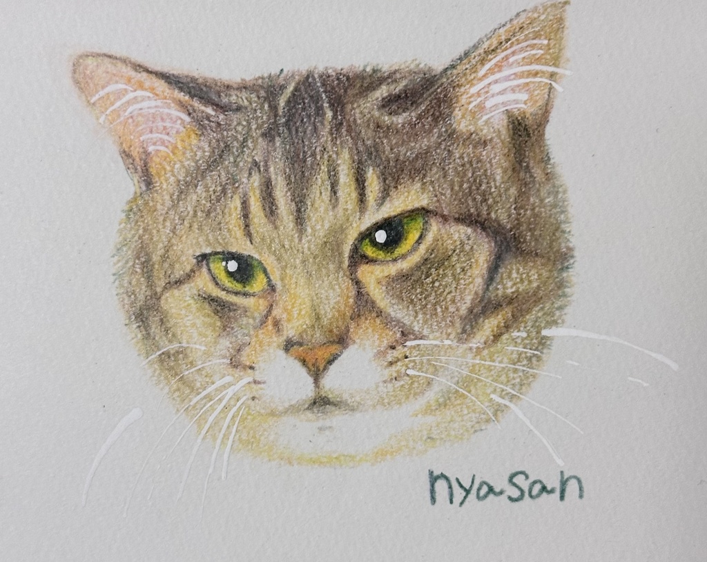 お顔クレヨン鉛筆絵画