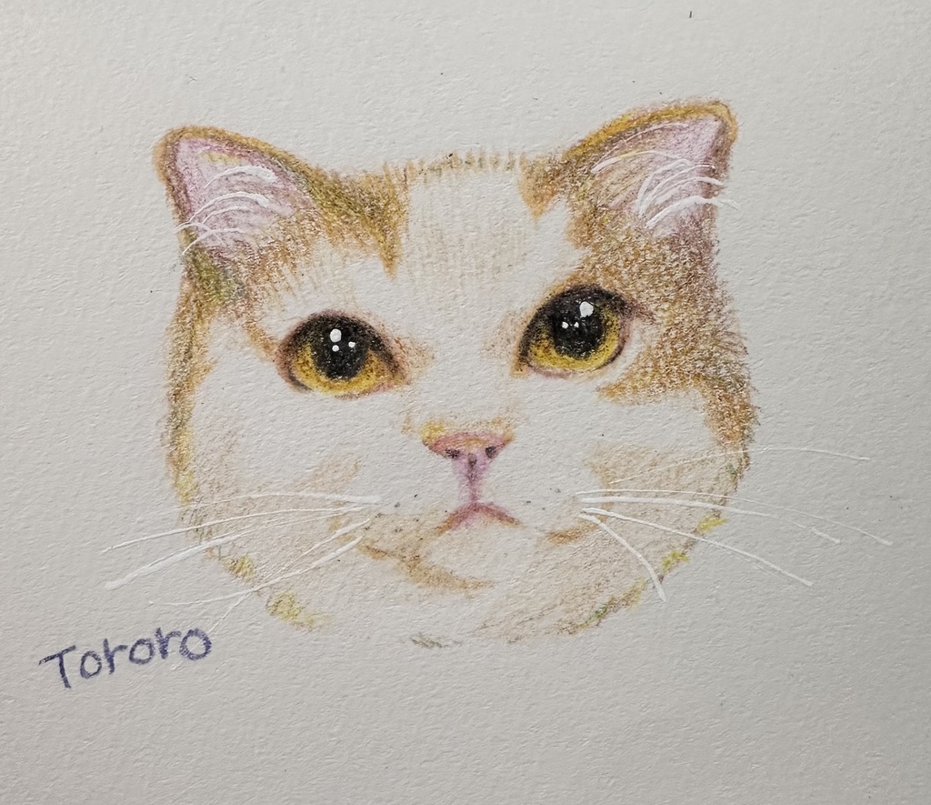 お顔クレヨン鉛筆絵画