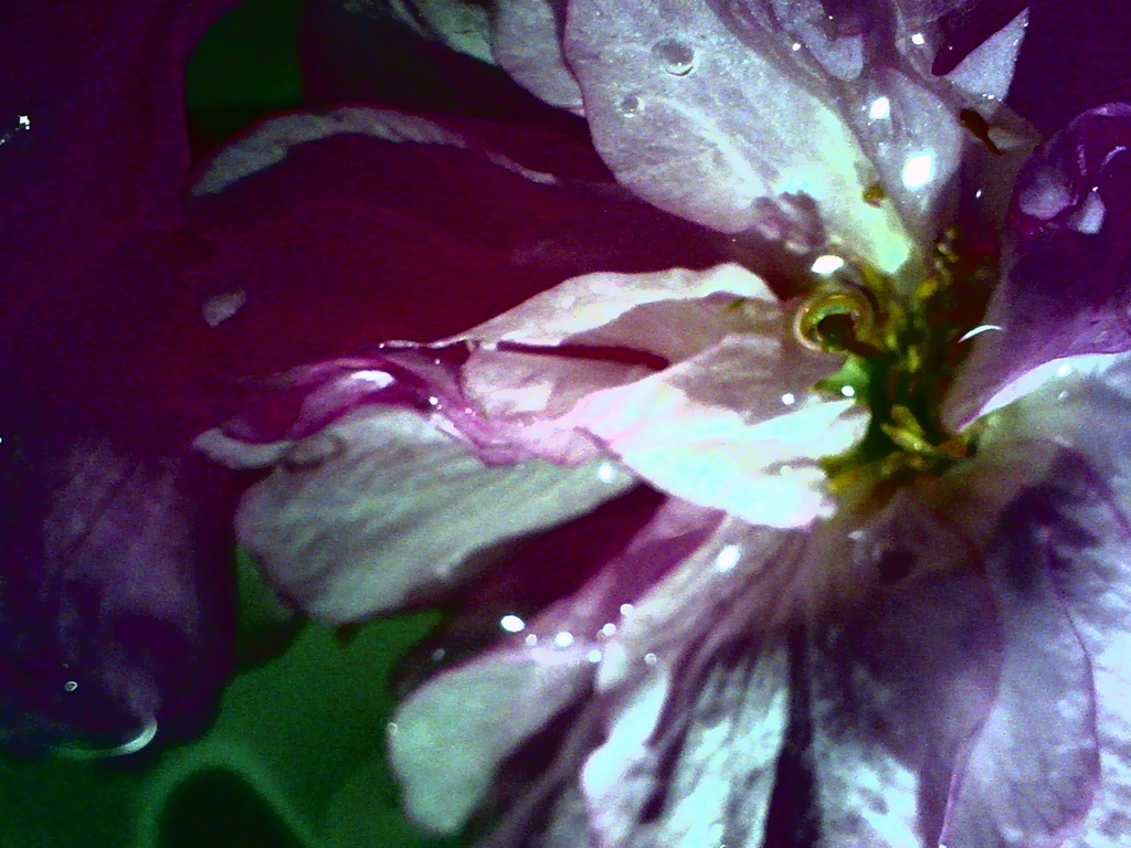 手帳型花アイフォンケース