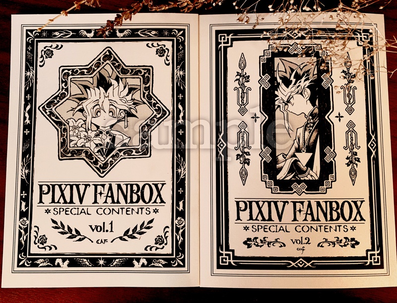 PIXIV FANBOX -special contents- vol.2