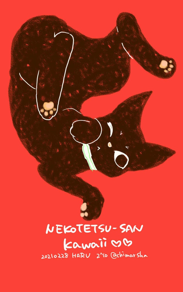 ねこてつさんの本とこねこてつさんの本