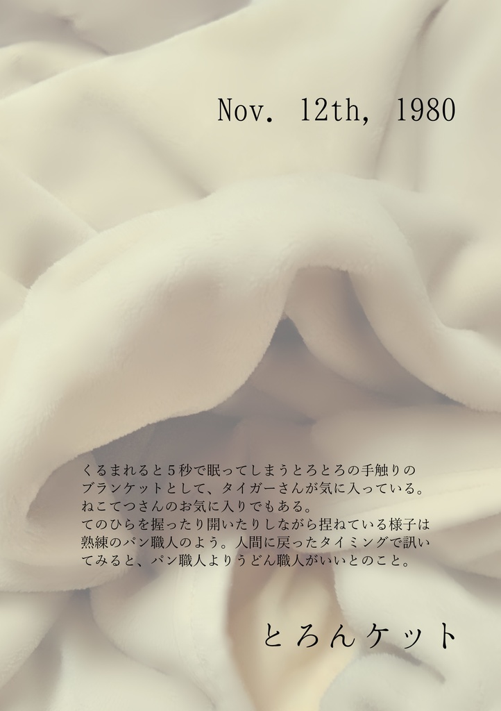 ねこてつさんの銀河