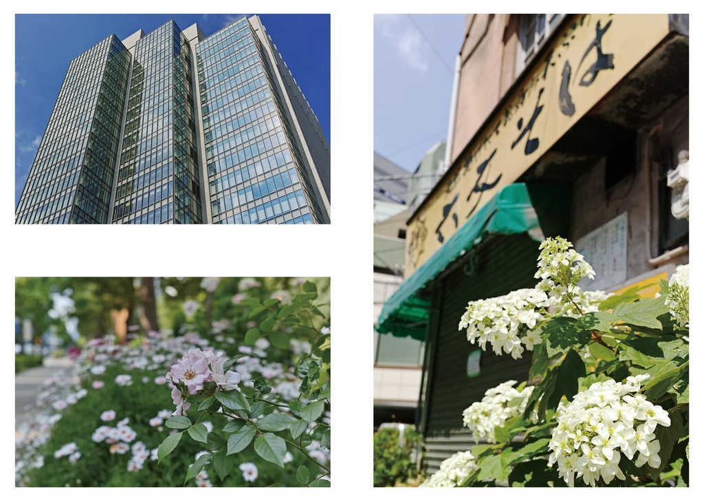 Jinbocho with SIGMA dp2 Quattro