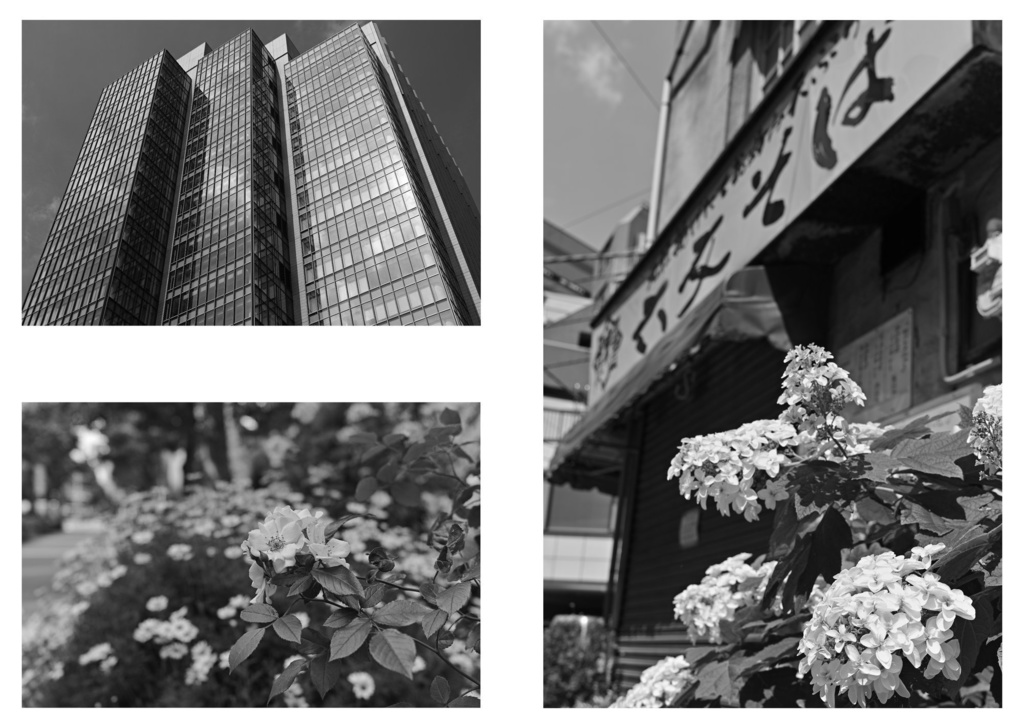 Jinbocho with SIGMA dp2 Quattro