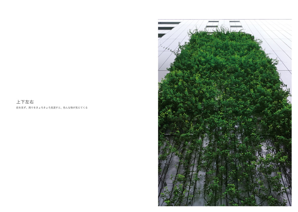 Jinbocho with SIGMA dp2 Quattro