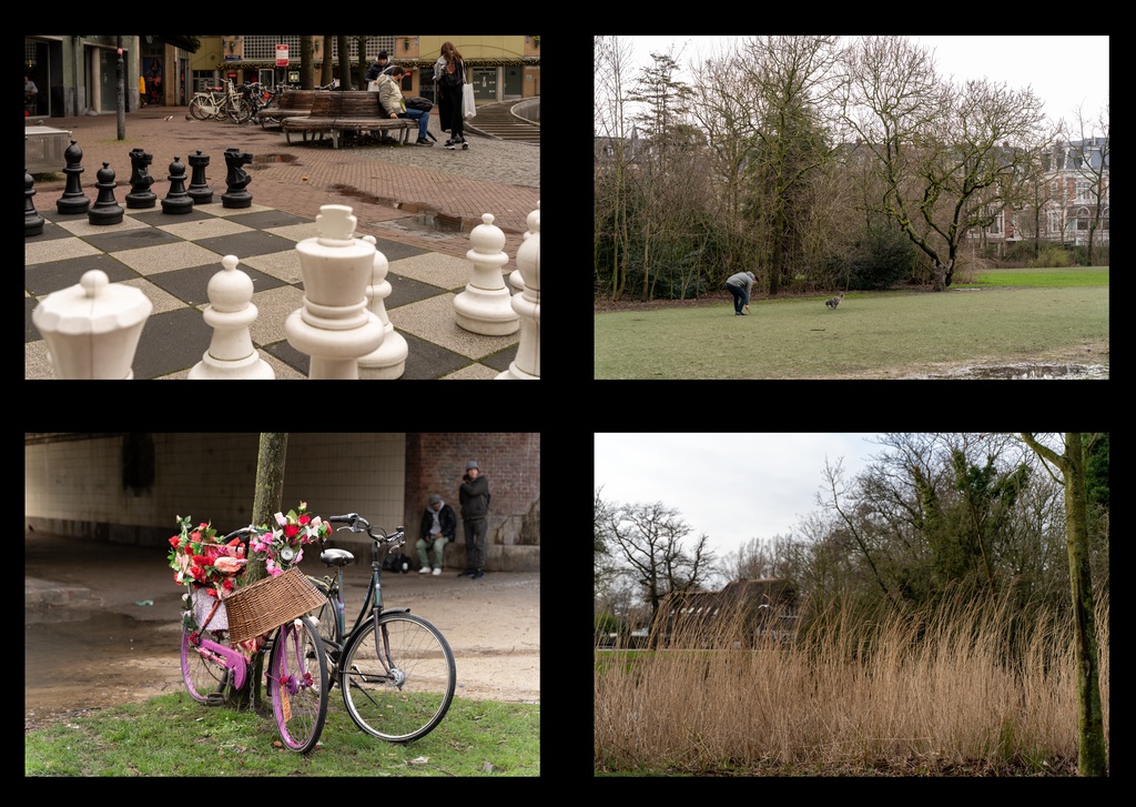 Trip to Amsterdam in 2020