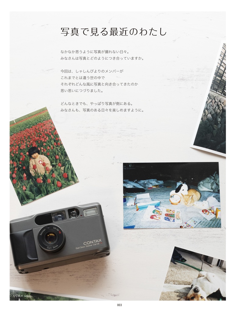 合同写真誌『しゃしんびより プチ』