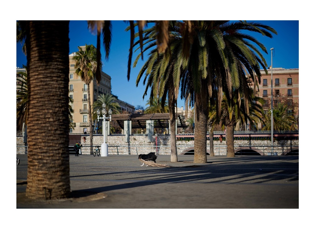 【C102新刊】BARCELONA’23