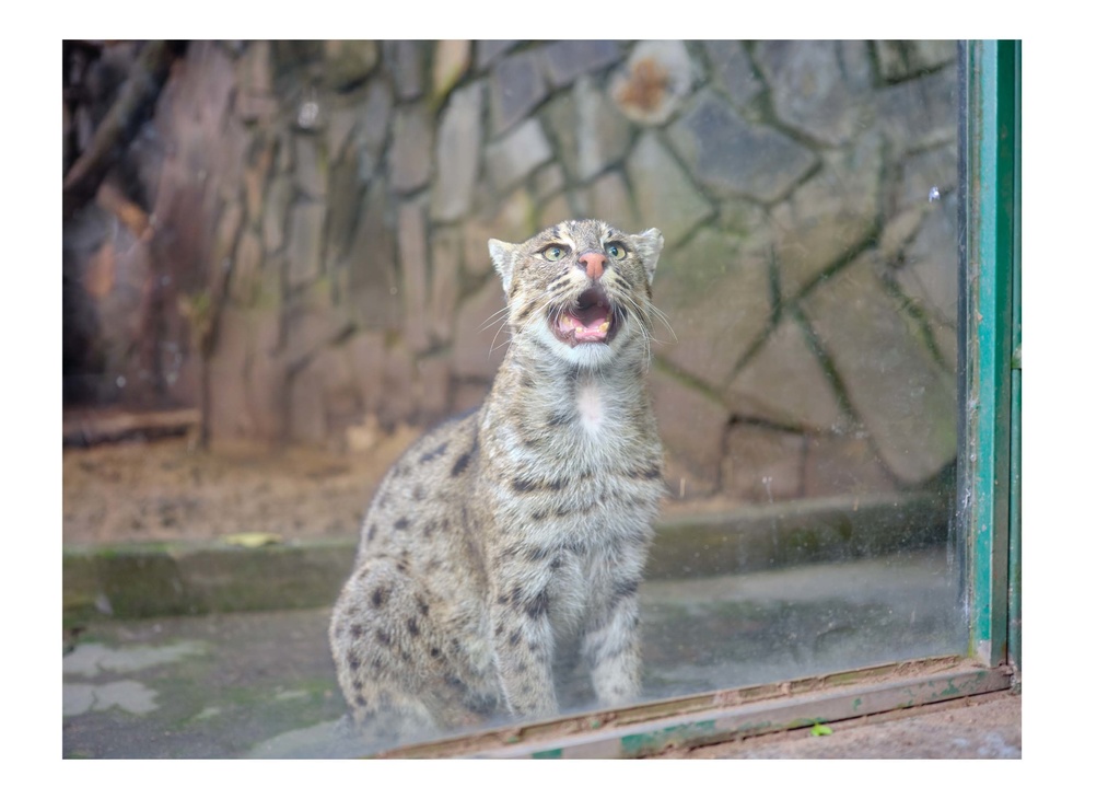 【C102新刊】サマー★クリスマス in Ho Chi Minh City