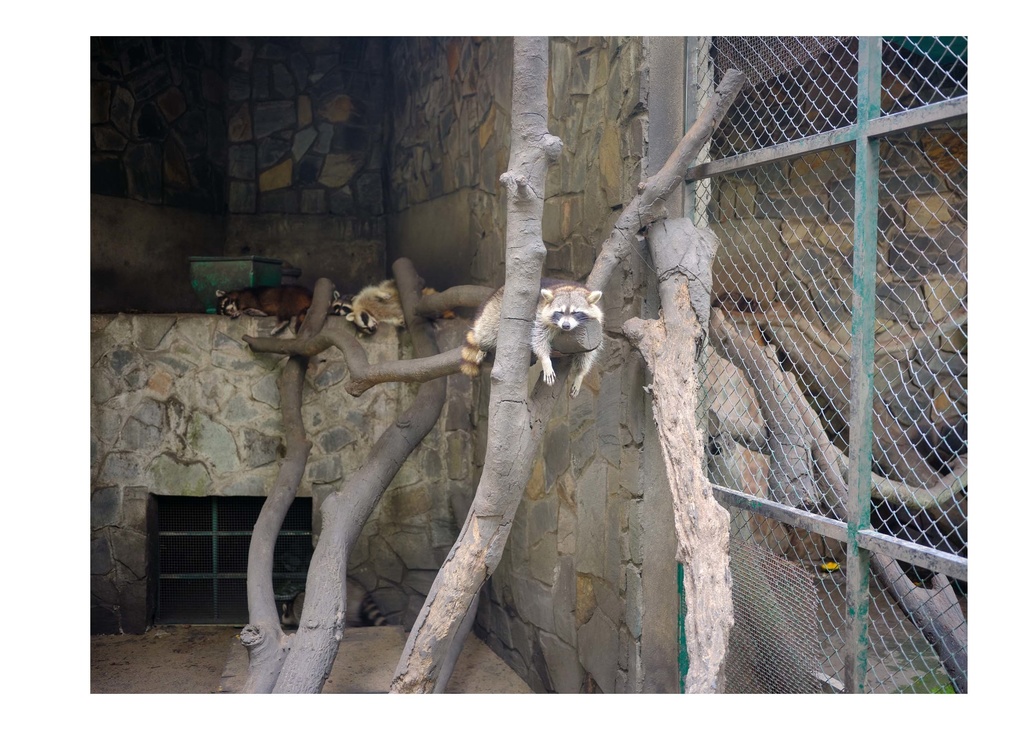 【C102新刊】サマー★クリスマス in Ho Chi Minh City