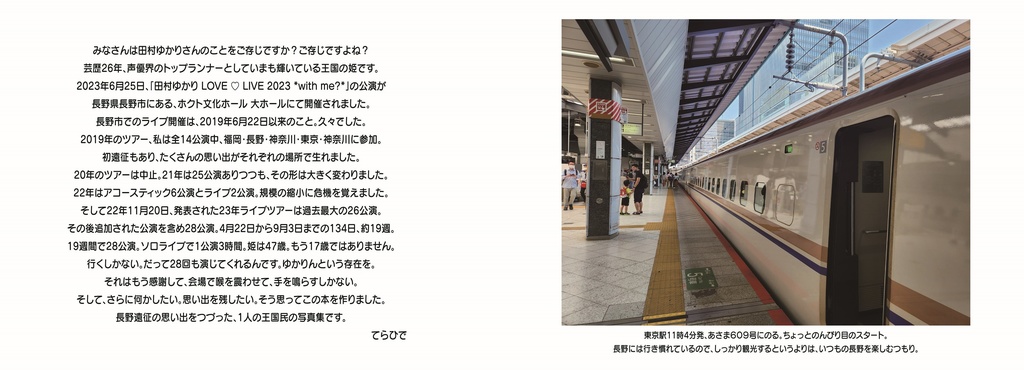 【C102新刊】王国民のひがえり長野たび