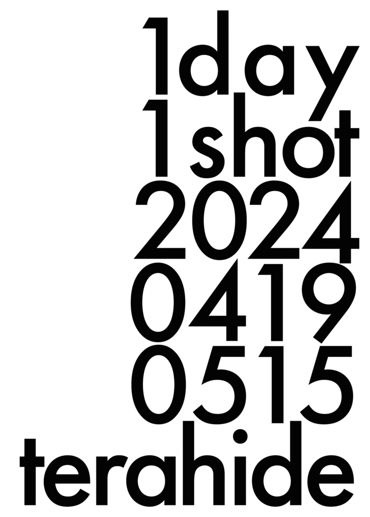 1day1shot 202404190515