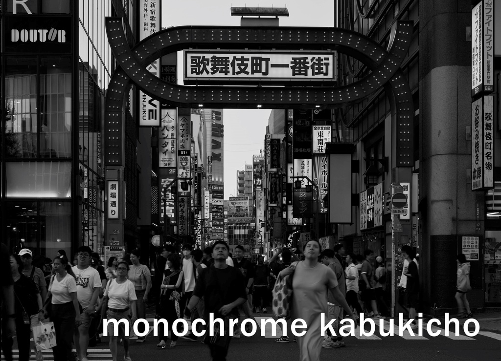 monochrome kabukicho
