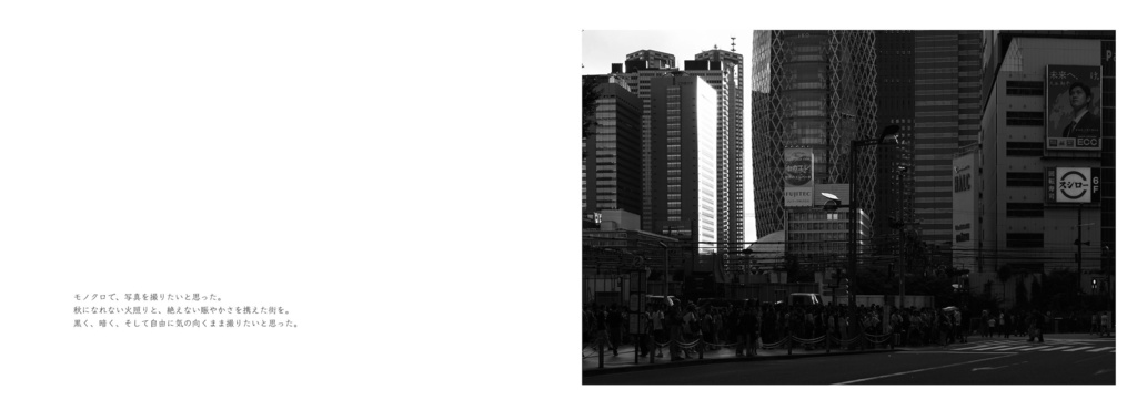 monochrome kabukicho