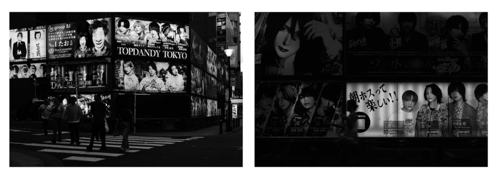 monochrome kabukicho