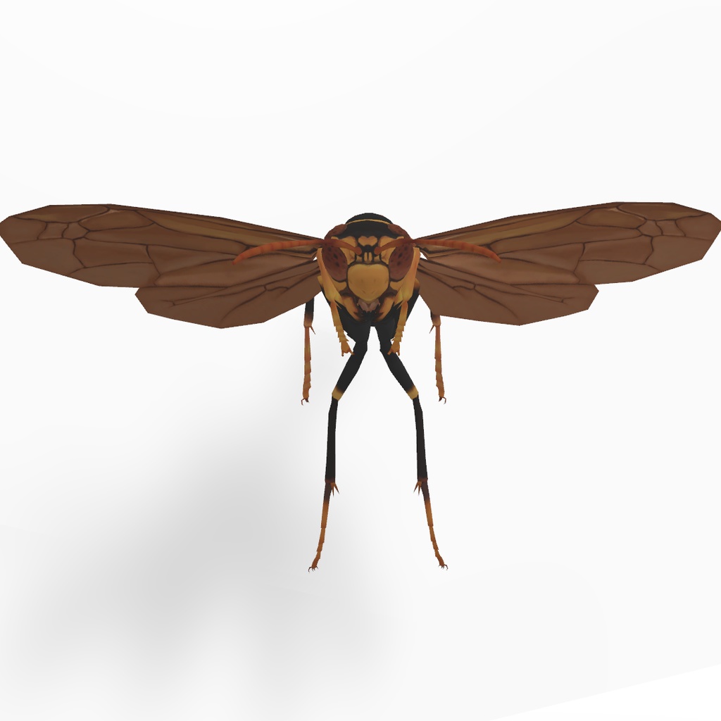 セグロアシナガバチ アバター