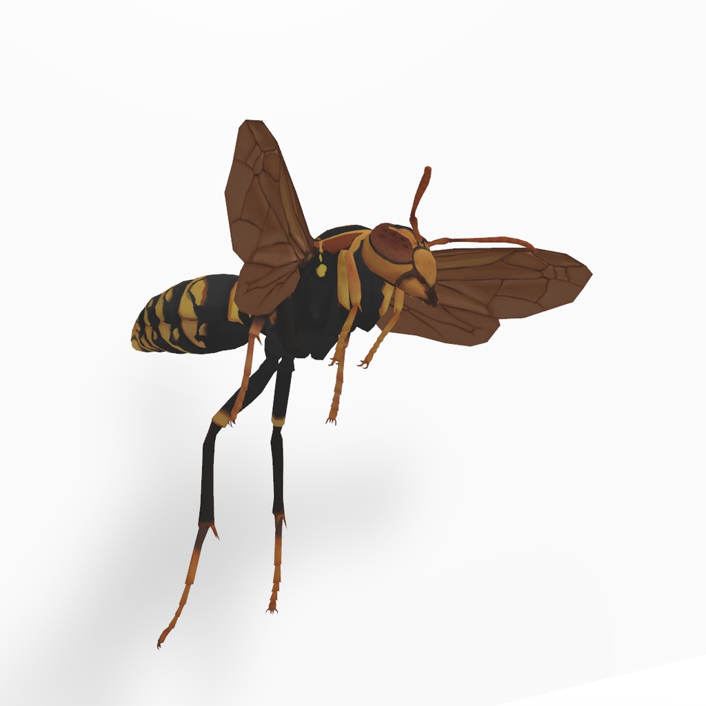 セグロアシナガバチ アバター