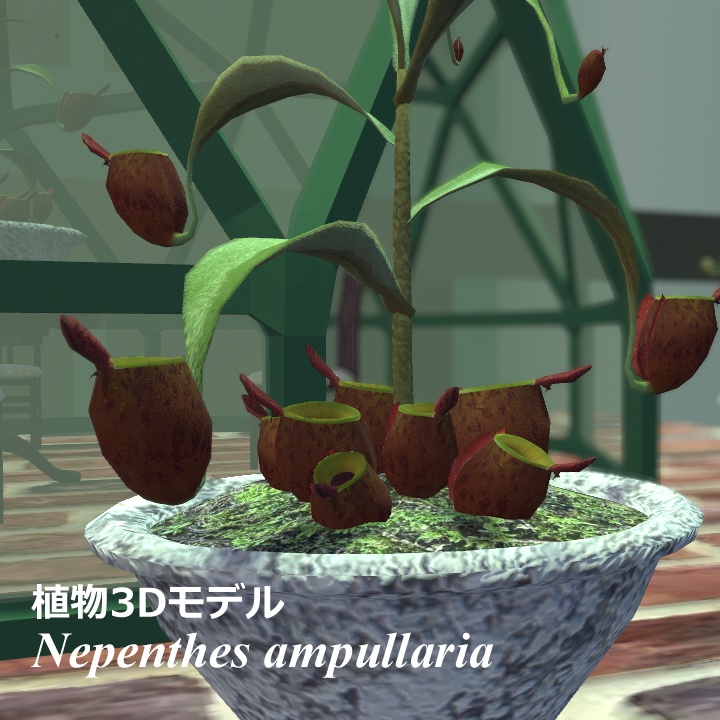 植物3Dモデル Nepenthes ampullaria (ウツボカズラ)