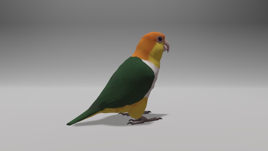 シロハラインコ アバター